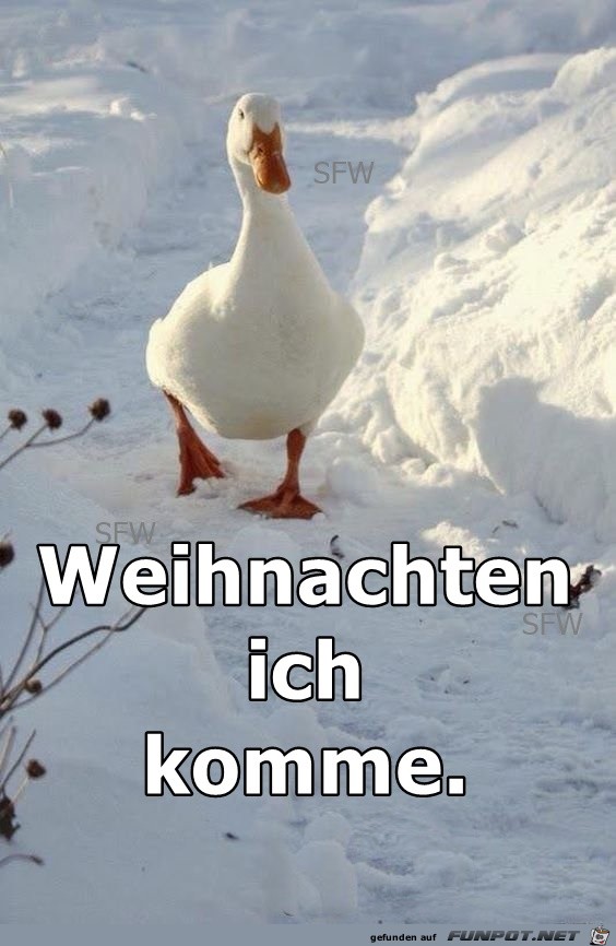 Weihnachten ich komme