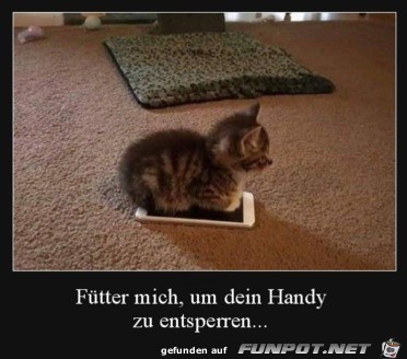 Erst füttern Erst füttern