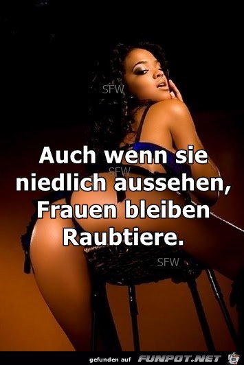 Auch wenn sie niedlich aussehen Auch wenn sie niedlich aussehen
