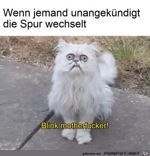 Sowas aber auch Sowas aber auch