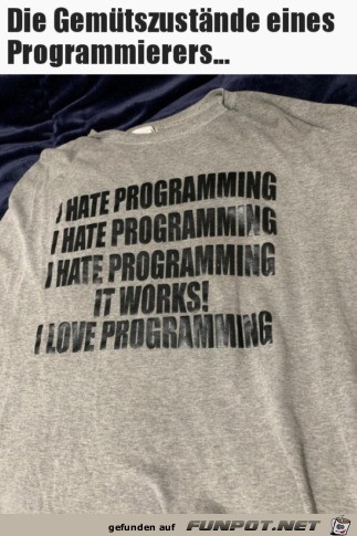 Der Programmierer