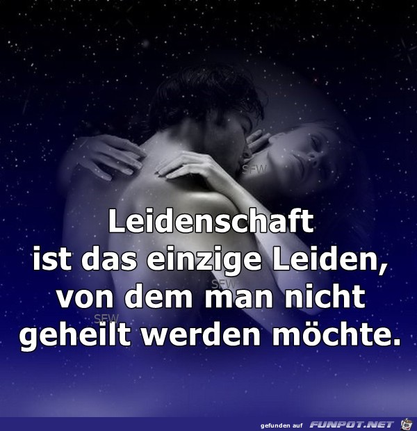 Leidenschaft ist das einzige Leidenschaft ist das einzige