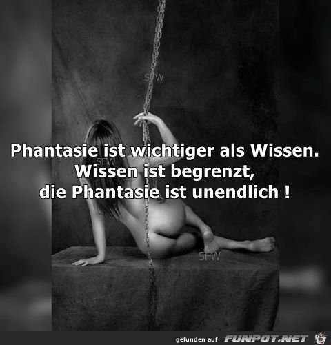 Phantasie ist wichtiger