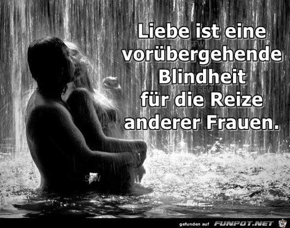 Liebe ist eine Liebe ist eine
