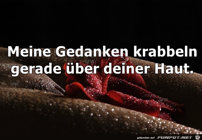 Meine Gedanken krabbeln Meine Gedanken krabbeln