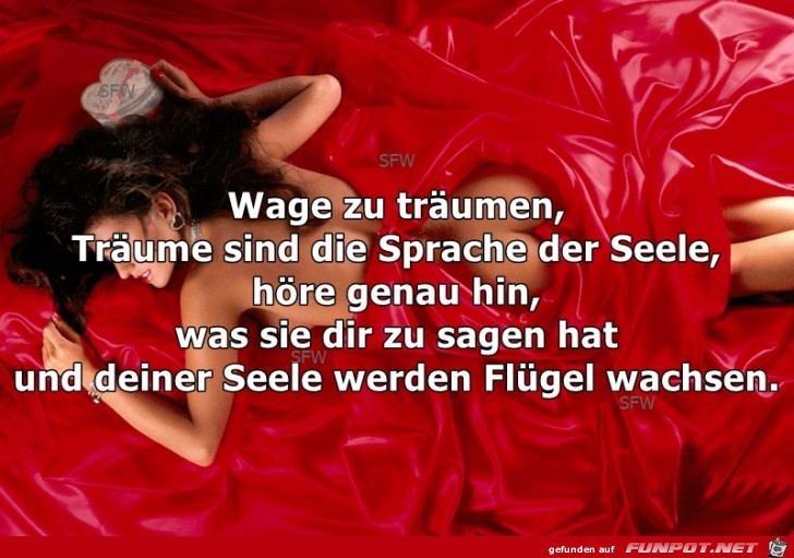 Wage zu traeumen