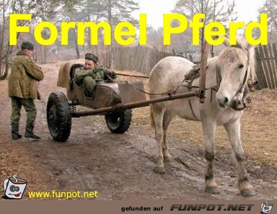 Formel Pferd Formel Pferd