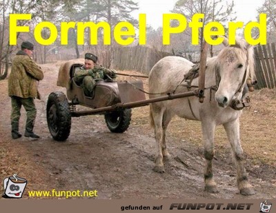 Formel Pferd