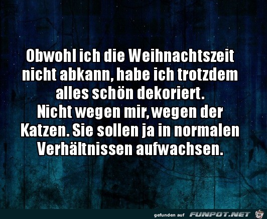 Für die Katzen Für die Katzen
