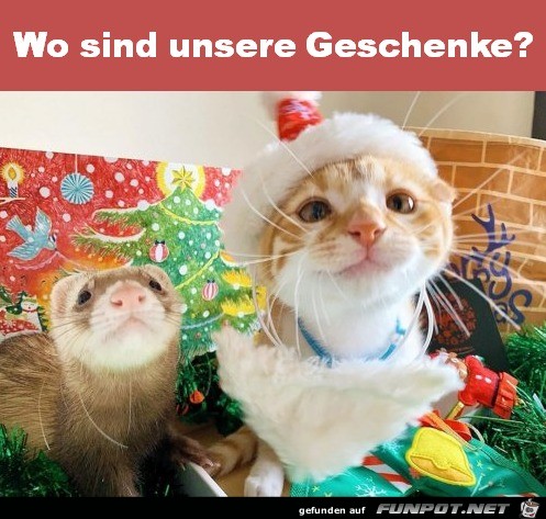 Wo sind die Geschenke?