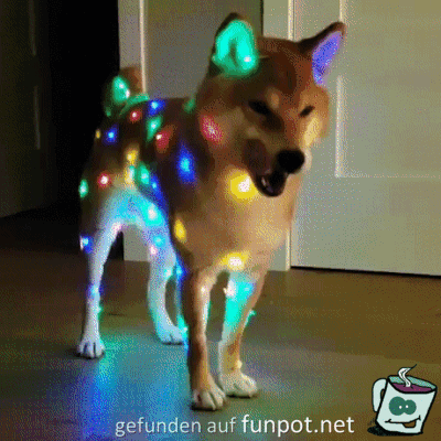 Leucht-Hund