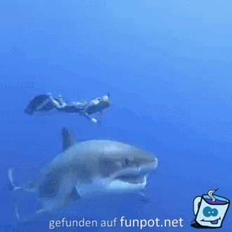 Ziemlich großes Tier Ziemlich großes Tier