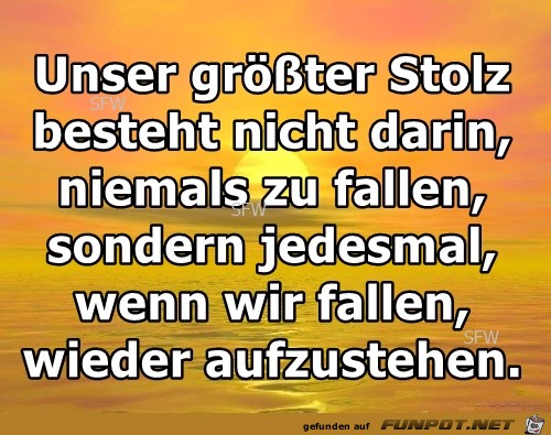 Unser groe sster Stolz besteht