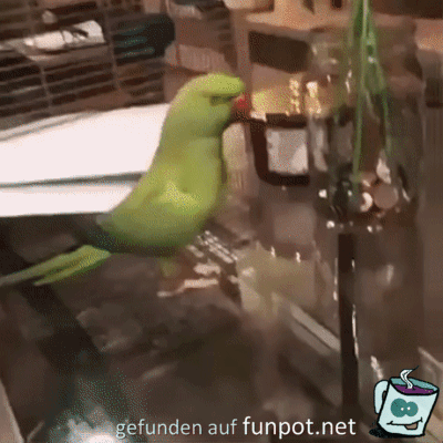 Da freut sich einer Da freut sich einer