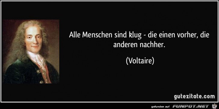 Voltaire Voltaire