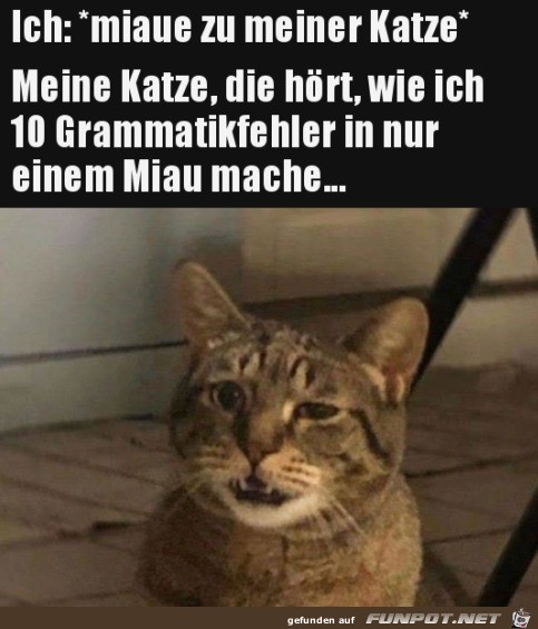 Sprachfehler Sprachfehler