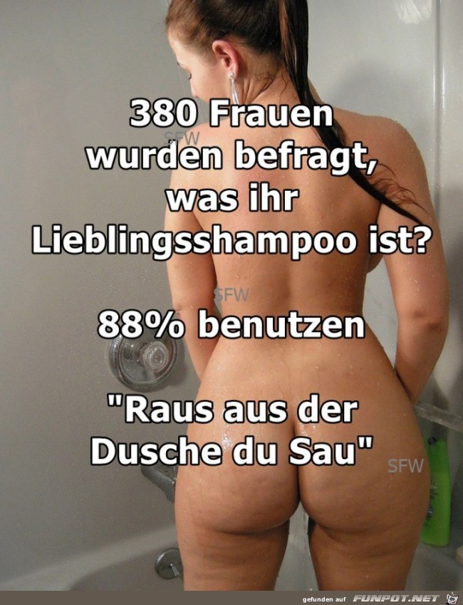 380 Frauen wurden befragt 380 Frauen wurden befragt