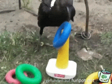 Erst mal aufräumen Erst mal aufräumen