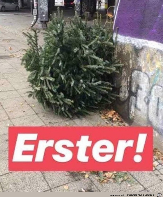 Erster Erster