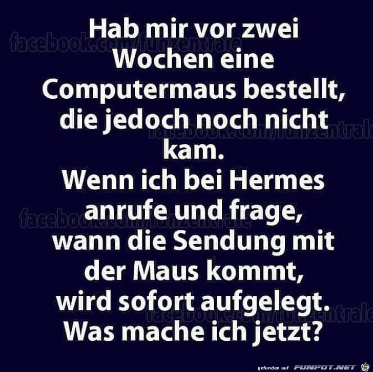 Hermes-Hotline Hermes-Hotline