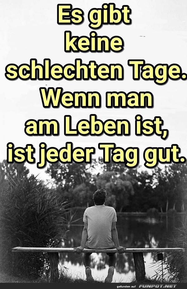 10 sch�ne Spr�che und Lebensweisheiten aus...