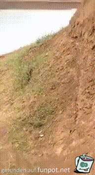 Autsch 211 Autsch 211