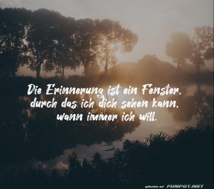 10 sch�ne Spr�che und Lebensweisheiten aus...