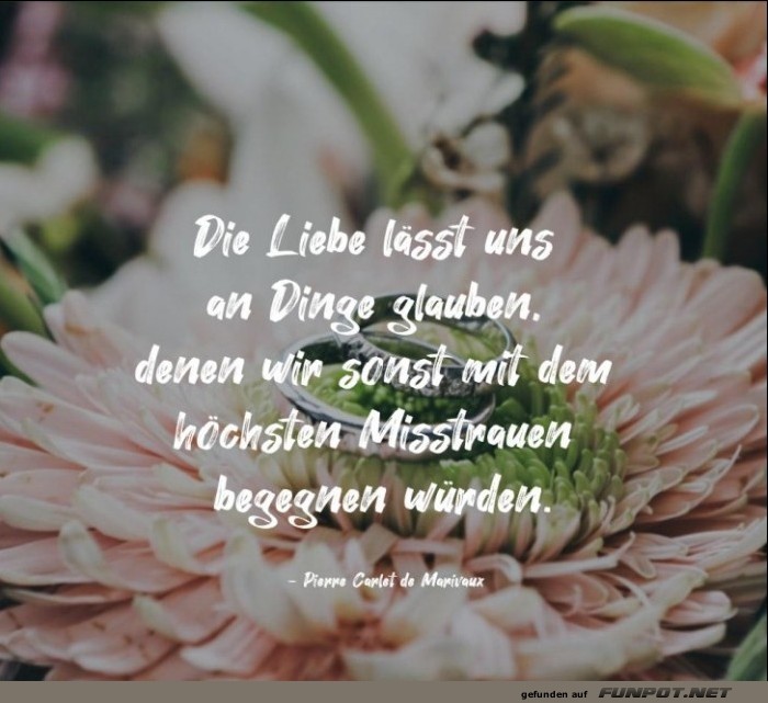 die liebe laesst uns