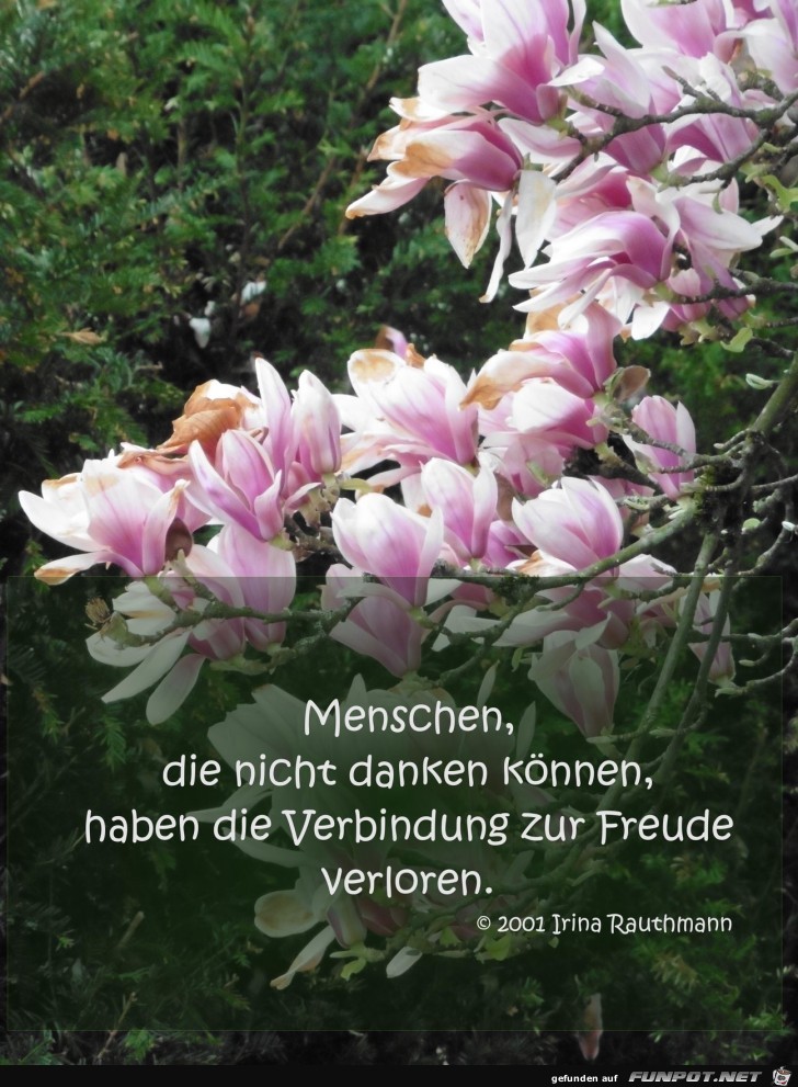 menschen die nicht danken koennen menschen die nicht danken koennen