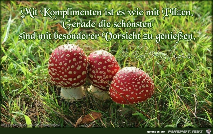 mit komplimenten