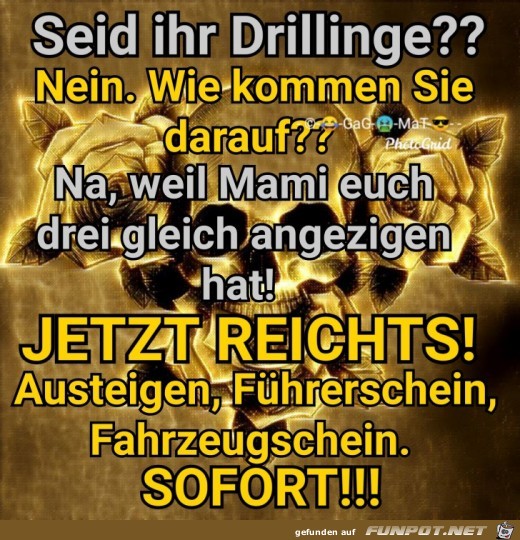 Drillinge Drillinge