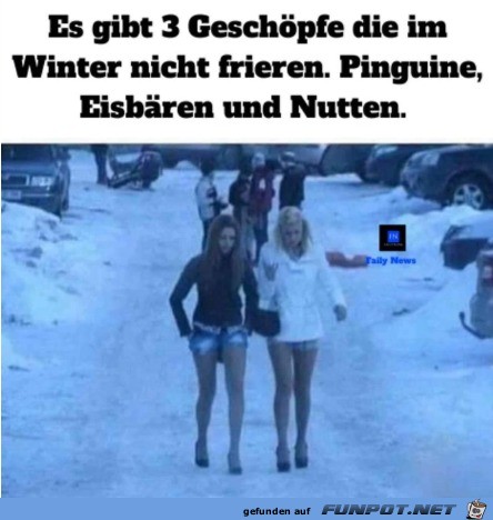 witzige frivole Bilder aus verschiedenen Blogs. Nicht...