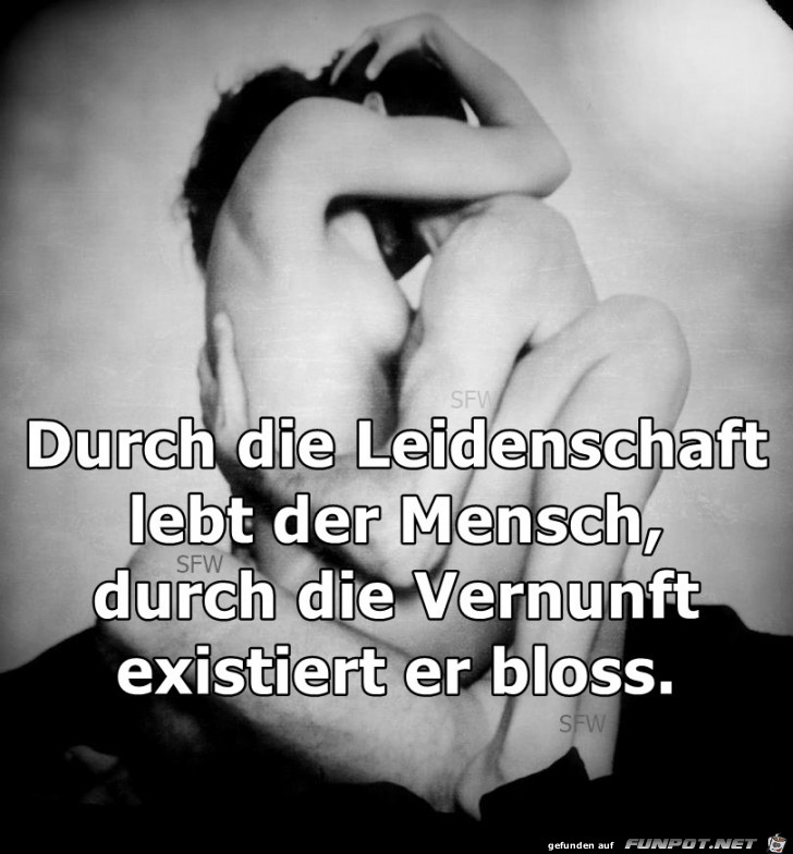 Durch die Leidenschaft lebt der Mensch Durch die Leidenschaft lebt der Mensch