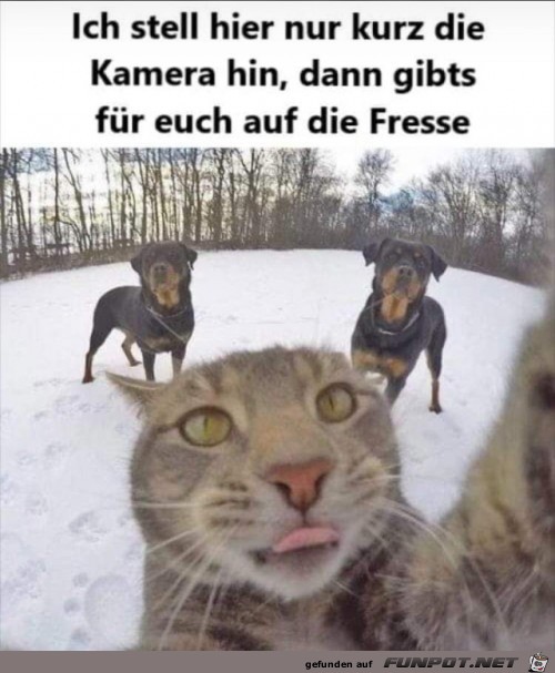 Gleich geht es los Gleich geht es los