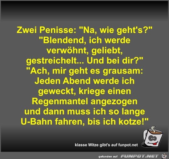 Zwei Penisse Zwei Penisse
