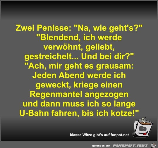 Zwei Penisse