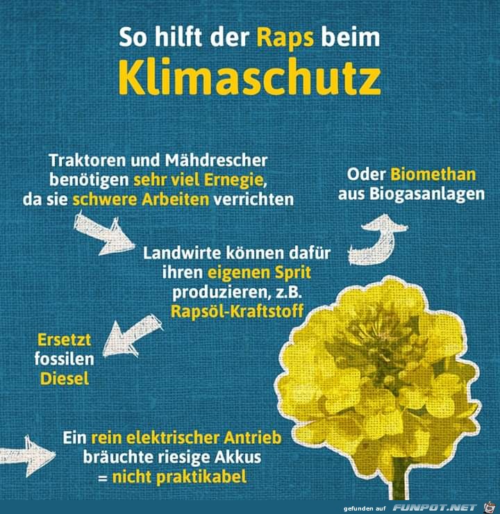 Klimaschutz