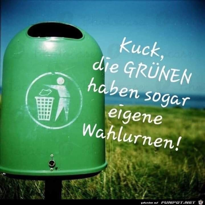 Wahlurne der Grnen