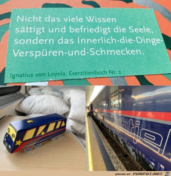 nicht das viele Wissen