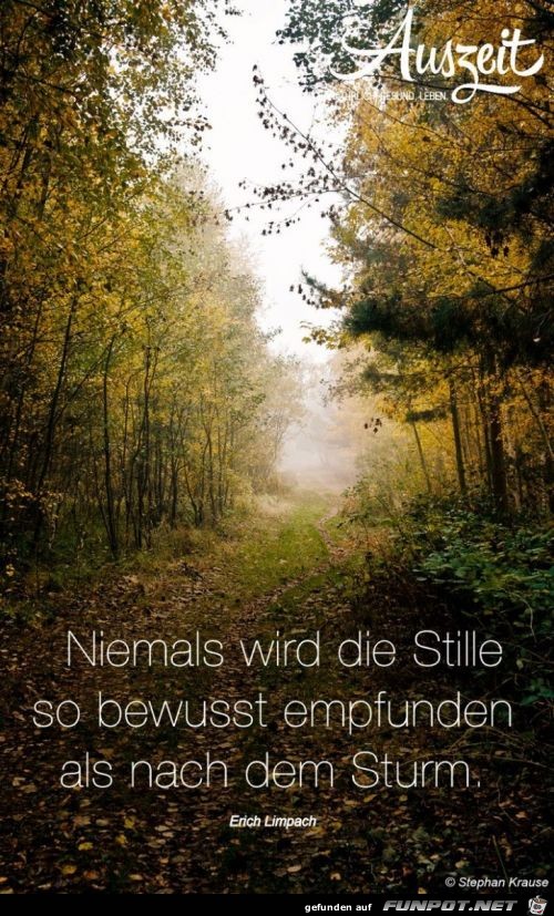 niemals wird die stille