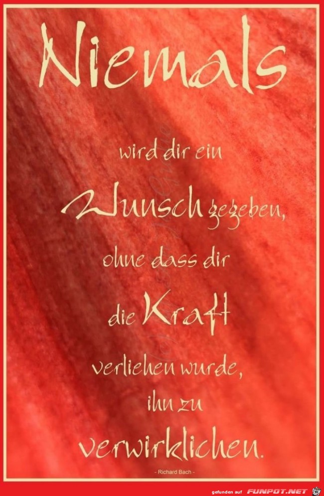 niemals wird dir ein Wunsch gegeben niemals wird dir ein Wunsch gegeben