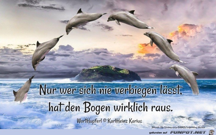 nur wer sich nie verbieten laesst nur wer sich nie verbieten laesst