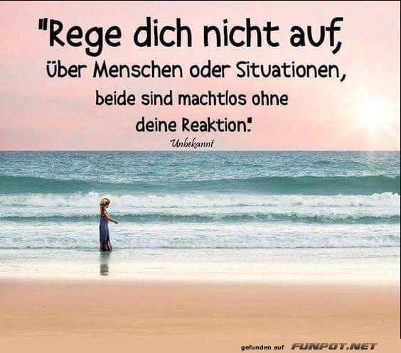10 sch�ne Spr�che und Lebensweisheiten aus...