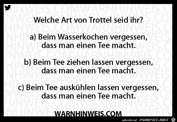 Trottel Trottel