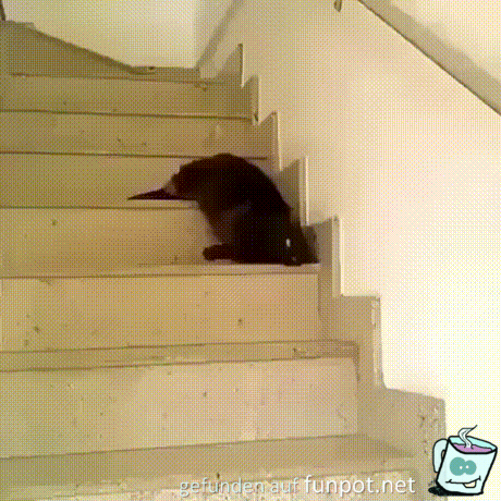 Treppe runter rollen Treppe runter rollen