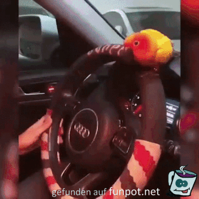 Er bleibt sitzen Er bleibt sitzen