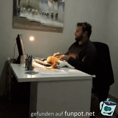 Der Katze gefällts Der Katze gefällts