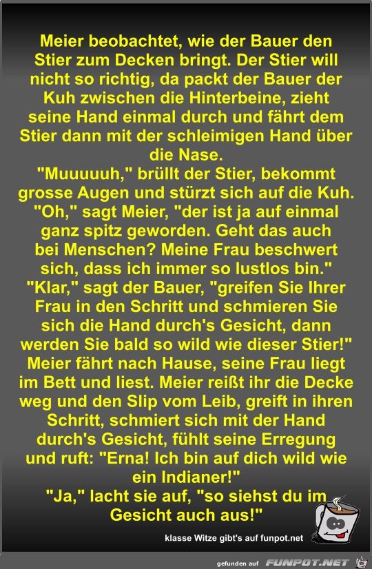 Meier beobachtet, wie der Bauer den Stier zum Decken bringt