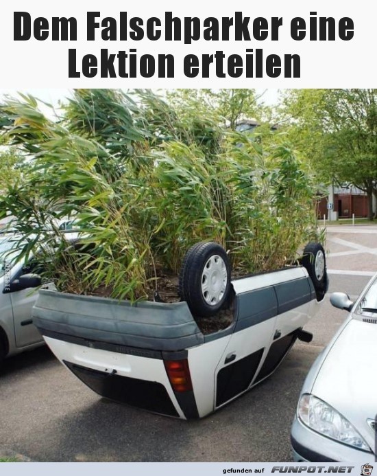 Der Falschparker