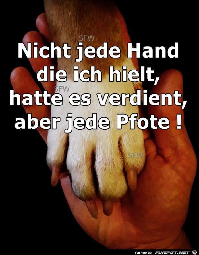 Nicht jede Hand die ich